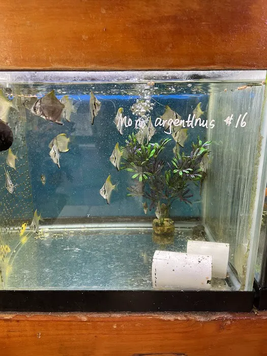 New Lucky Fish Aquarium & Pet Supply Picture 6