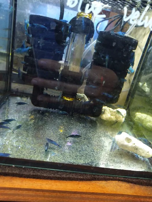 New Lucky Fish Aquarium & Pet Supply Picture 1