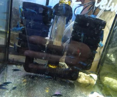 New Lucky Fish Aquarium & Pet Supply