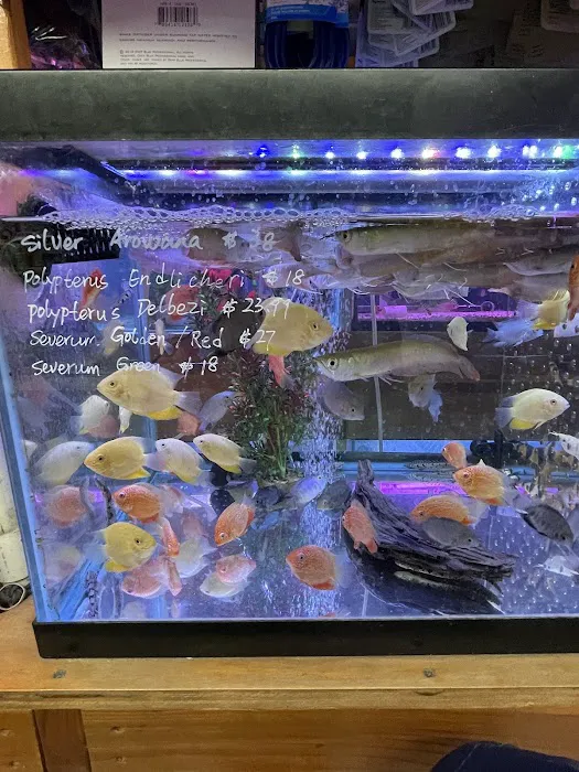 New Lucky Fish Aquarium & Pet Supply Picture 2