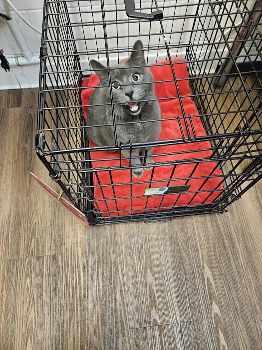 Bree's Animal Hospital Picture 10