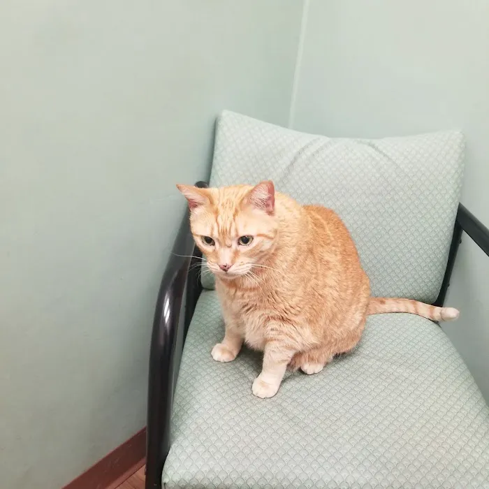 Bree's Animal Hospital Picture 8