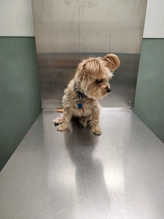Bree's Animal Hospital Picture 7