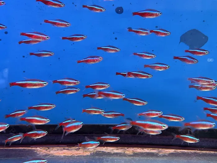 South River Aquarium Picture 7