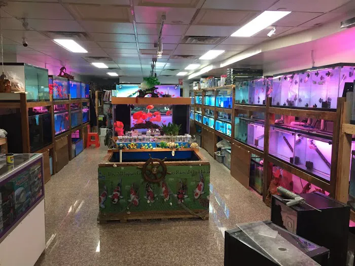 South River Aquarium Picture 5