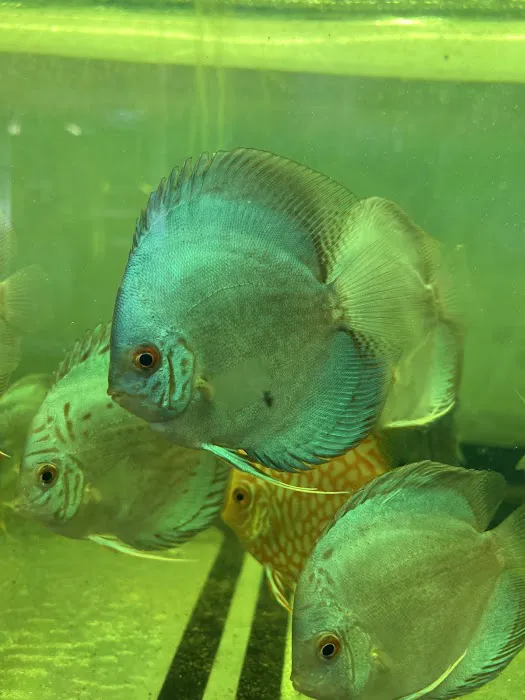 South River Aquarium Picture 9