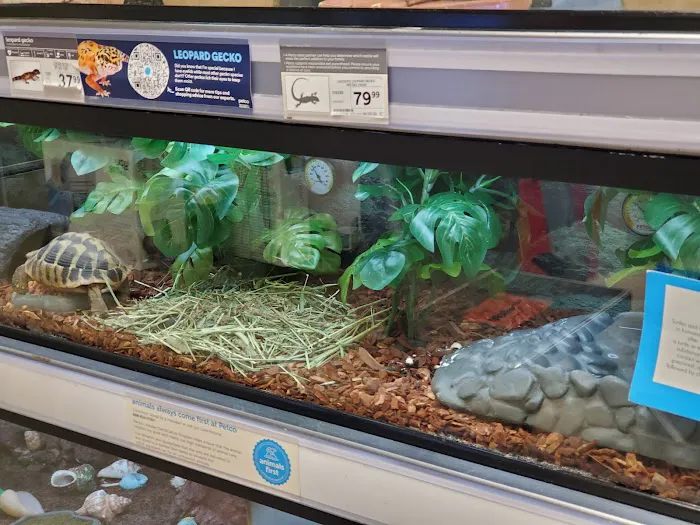 Petco Picture 1