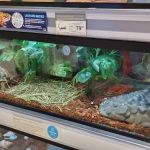 Petco
