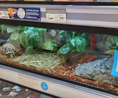 Petco