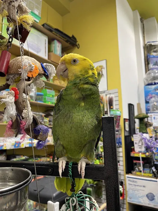 Petco Picture 8