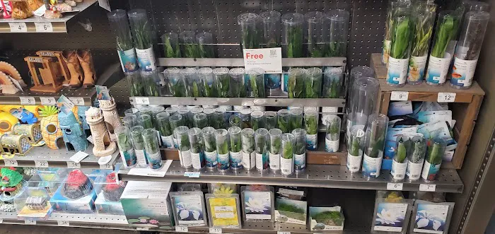 Petco Picture 7