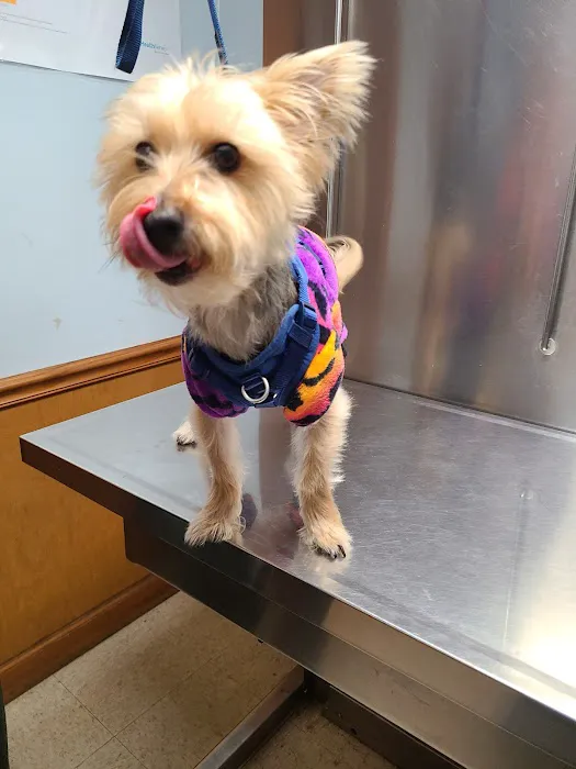 Cottman Animal Hospital Picture 2