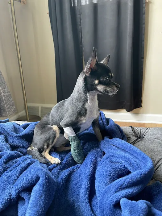 Cottman Animal Hospital Picture 3