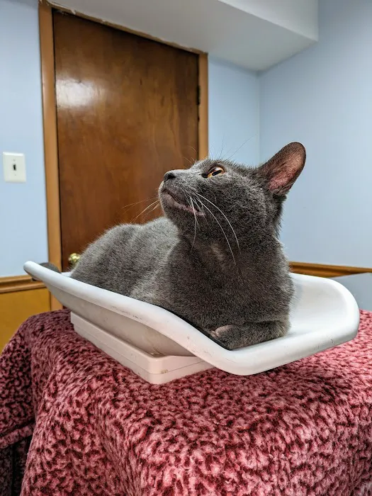 Cottman Animal Hospital Picture 8