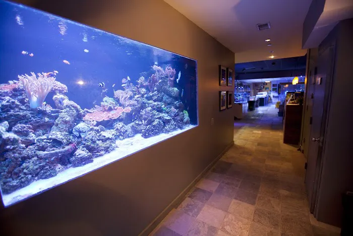New York Aquarium Service Picture 3