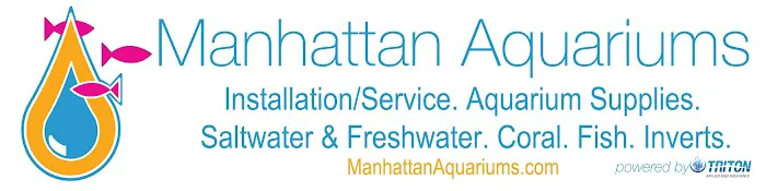 New York Aquarium Service Picture 7
