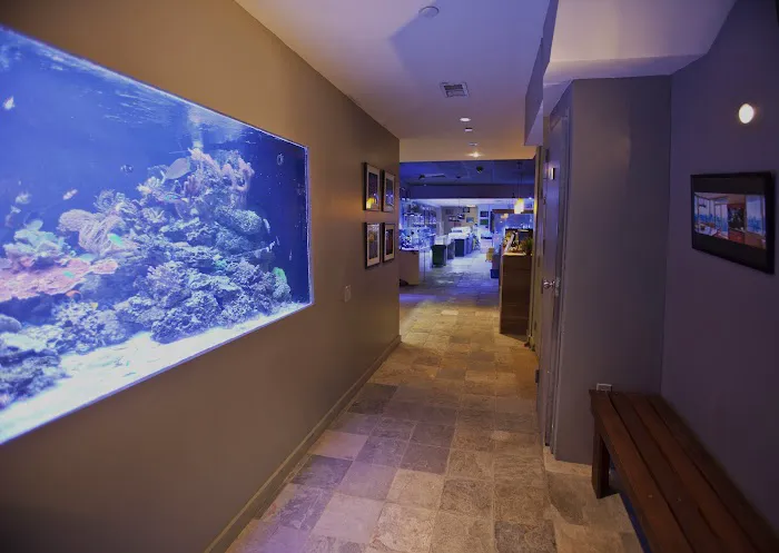 New York Aquarium Service Picture 5