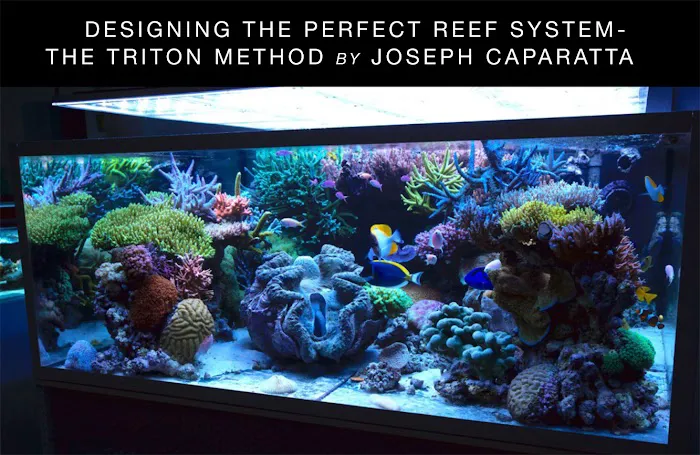 New York Aquarium Service Picture 6