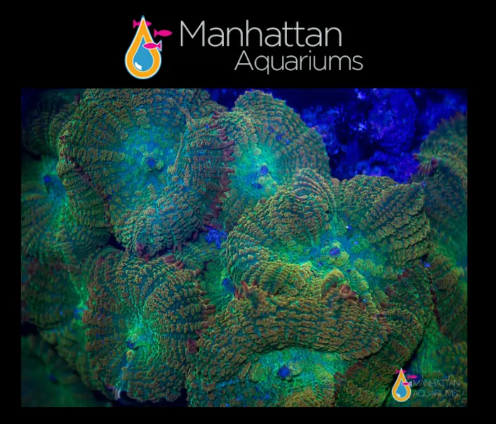 New York Aquarium Service Picture 10