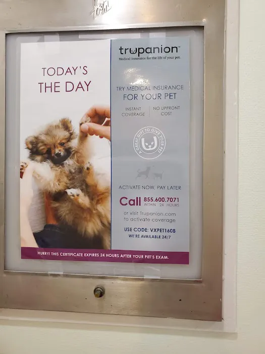 Rhawnhurst Animal Hospital Picture 3