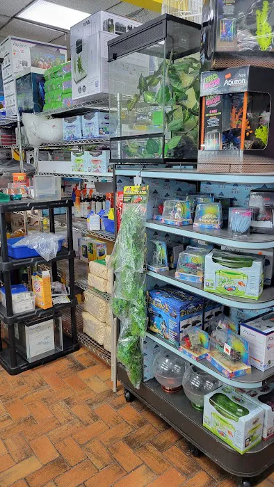 Pet Shop Red Canary Picture 5