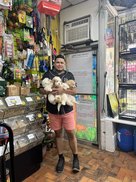 Pet Shop Red Canary Picture 8