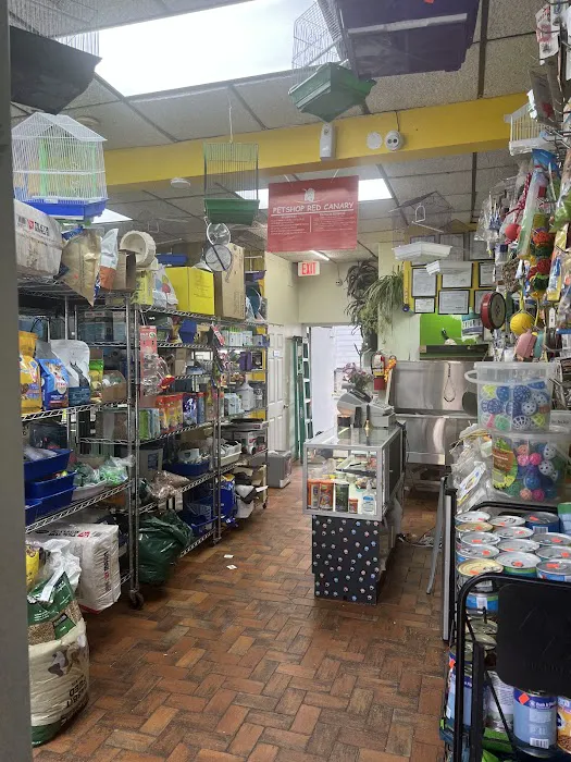 Pet Shop Red Canary Picture 7