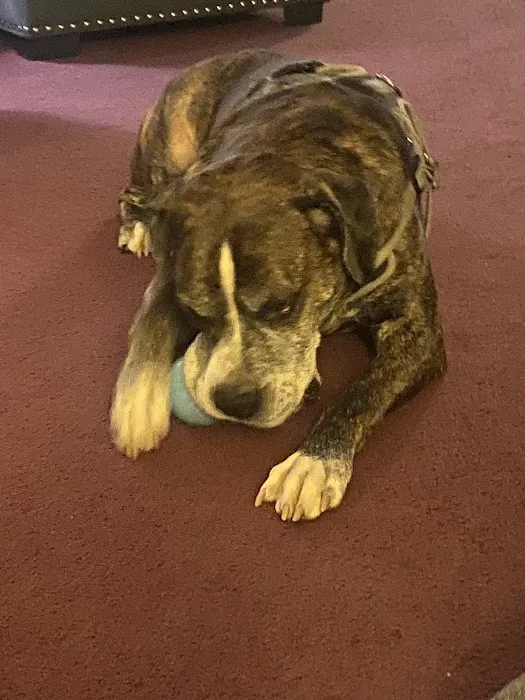 Terry Animal Hospital Picture 10