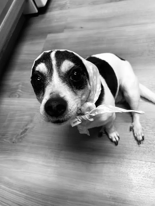 Terry Animal Hospital Picture 6