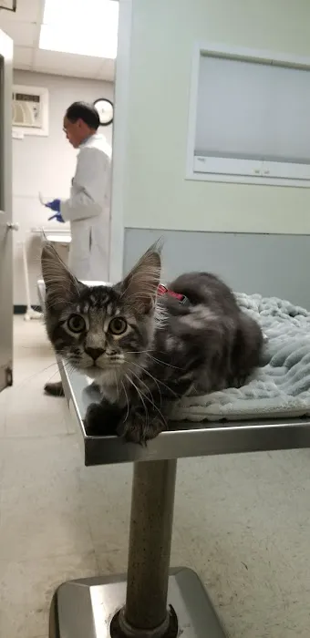 Broad Street Animal Hospital Picture 7