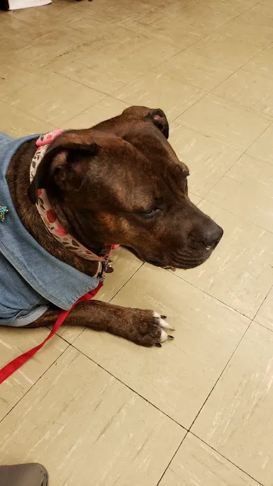 Broad Street Animal Hospital Picture 8