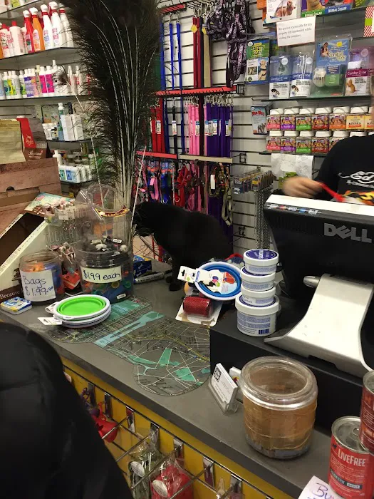 The Pet Market Picture 8