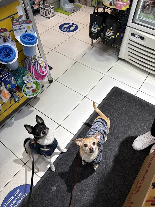 The Pet Market Picture 9