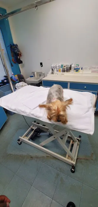 Greene Street Animal Care Picture 1