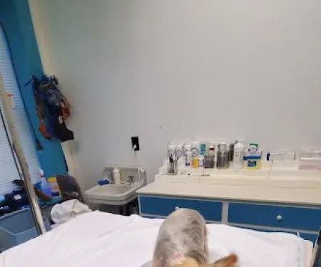 Greene Street Animal Care