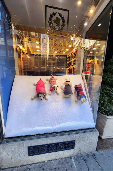 Canine Styles Midtown Picture 2
