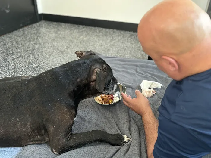 Wyncote Animal Hospital Picture 1