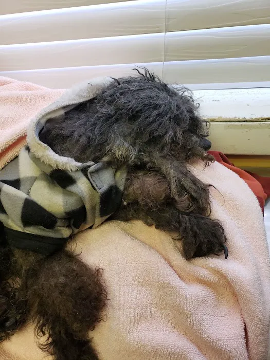 Wyncote Animal Hospital Picture 10