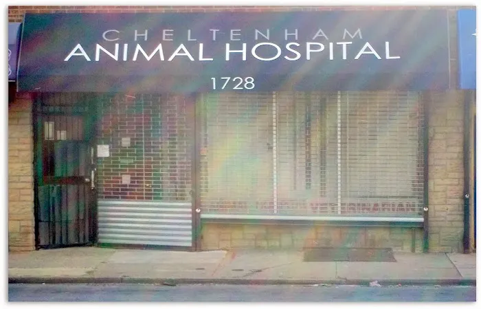 Cheltenham Animal Hospital Picture 1