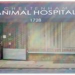 Cheltenham Animal Hospital