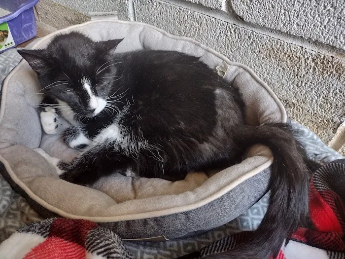 Elkins Park Veterinary Hospital Picture 4