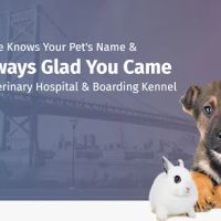 Elkins Park Veterinary Hospital ico