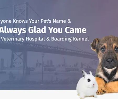 Elkins Park Veterinary Hospital