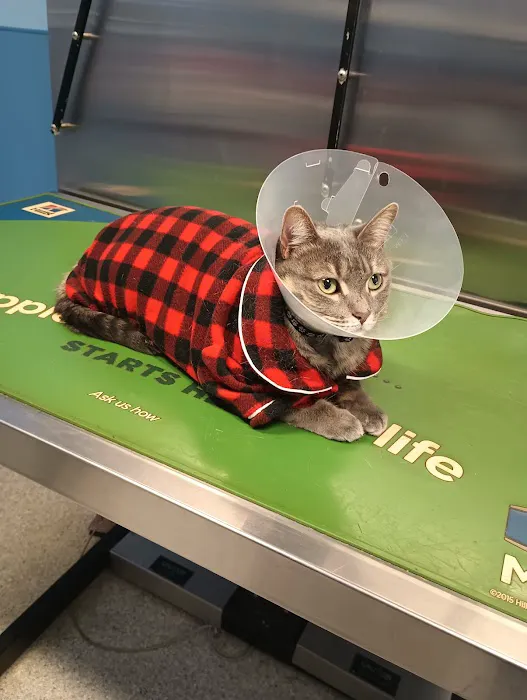 Elkins Park Veterinary Hospital Picture 5