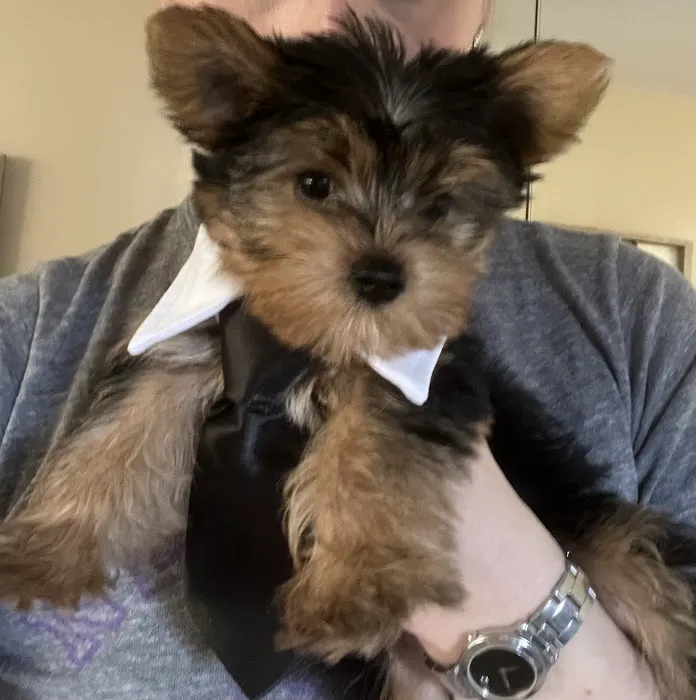 Elkins Park Veterinary Hospital Picture 8
