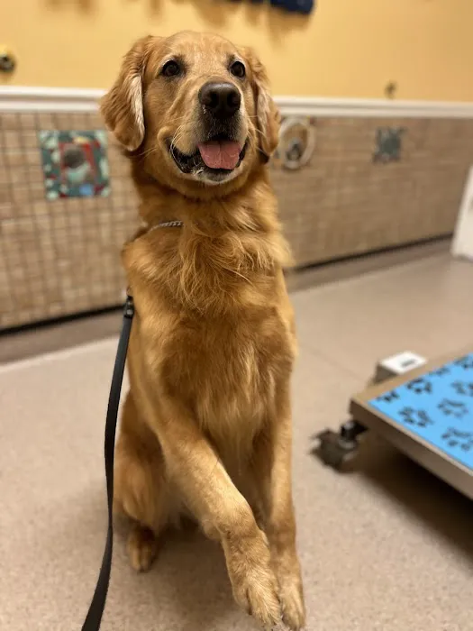 Rockledge Veterinary Clinic Picture 7