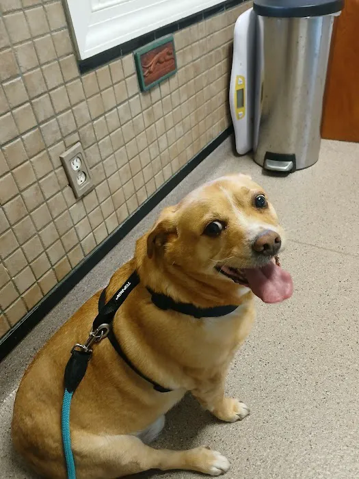 Rockledge Veterinary Clinic Picture 8