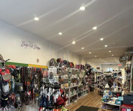 Species Pet World - We DO NOT have a Website