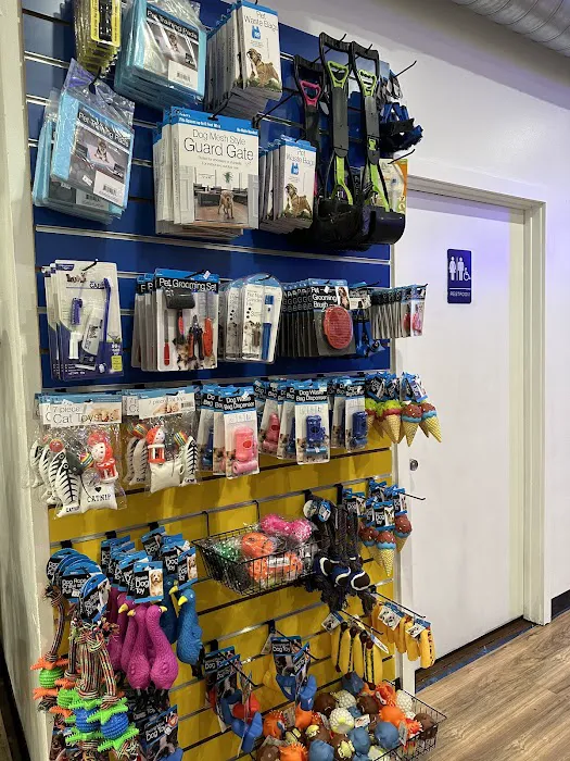 Species Pet World - We DO NOT have a Website Picture 2