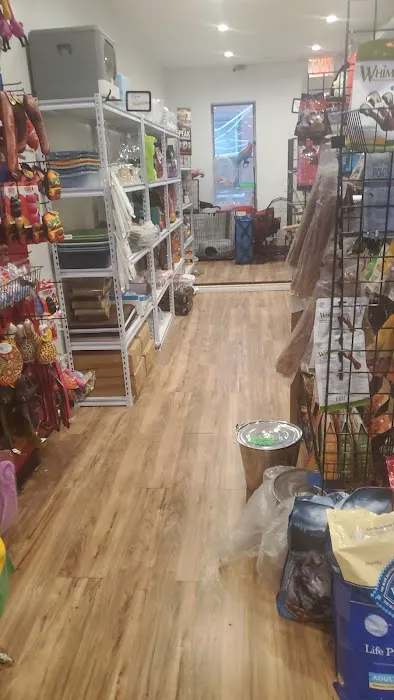 Species Pet World - We DO NOT have a Website Picture 9
